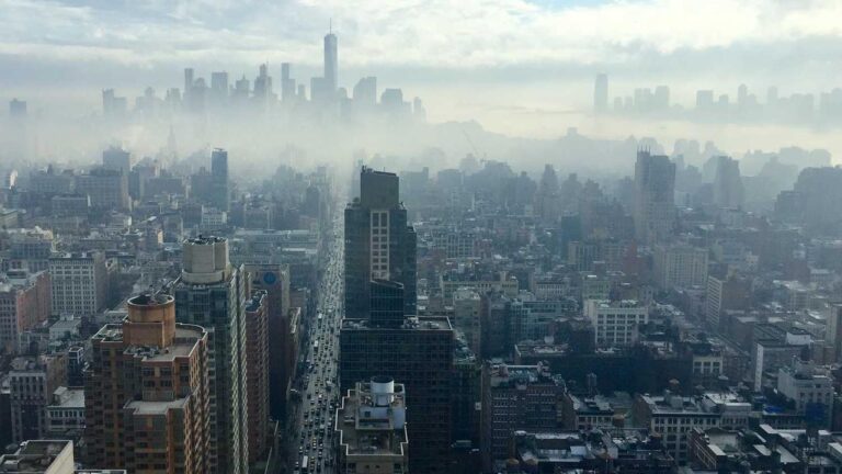 What Is The Difference Between 11Xplay Com Online Login And Pro Login?